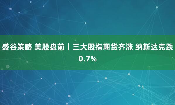 盛谷策略 美股盘前丨三大股指期货齐涨 纳斯达克跌0.7%