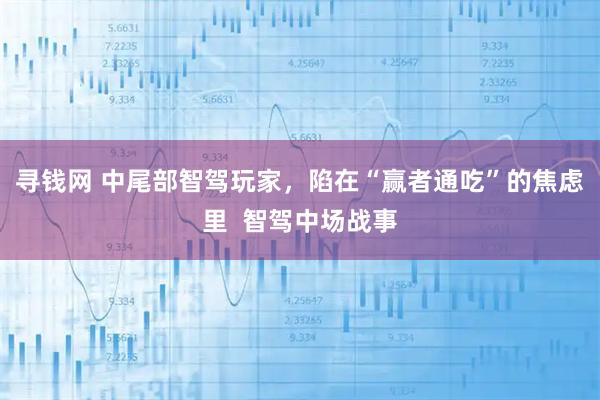 寻钱网 中尾部智驾玩家，陷在“赢者通吃”的焦虑里  智驾中场战事